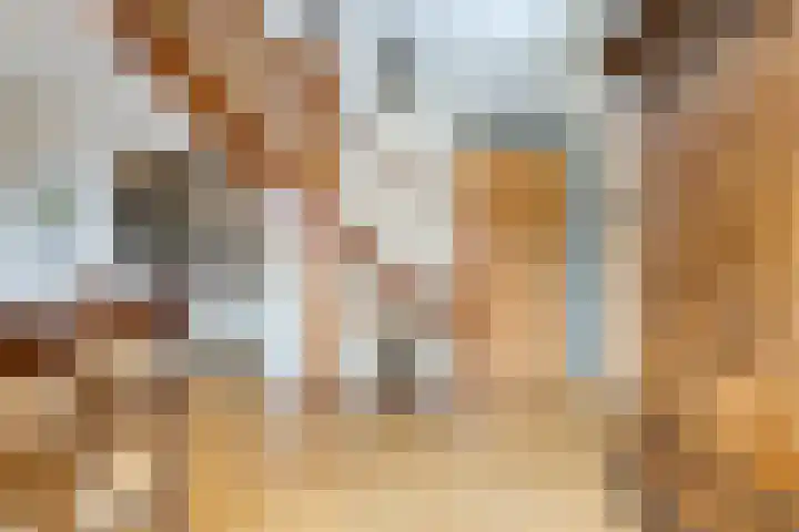 Frittemaleane 88 Sneek thumbnail 34