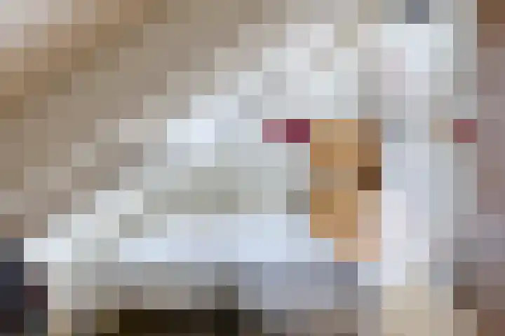 Frittemaleane 88 Sneek thumbnail 36