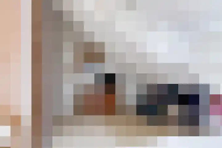 Frittemaleane 88 Sneek thumbnail 37