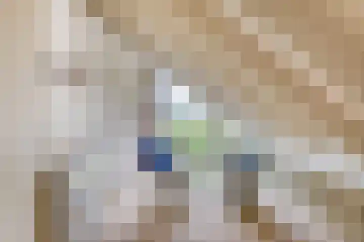 Frittemaleane 88 Sneek thumbnail 38