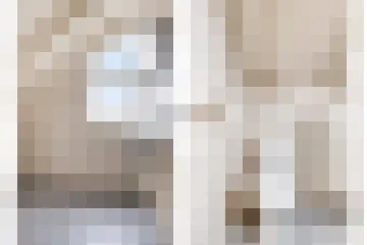 Frittemaleane 88 Sneek thumbnail 39
