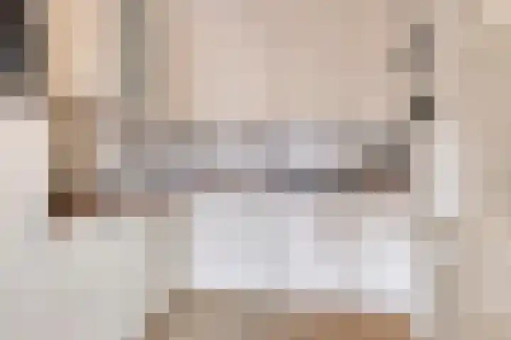 Frittemaleane 88 Sneek thumbnail 4