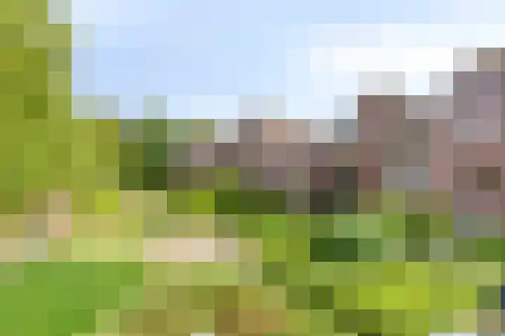 Frittemaleane 88 Sneek thumbnail 40