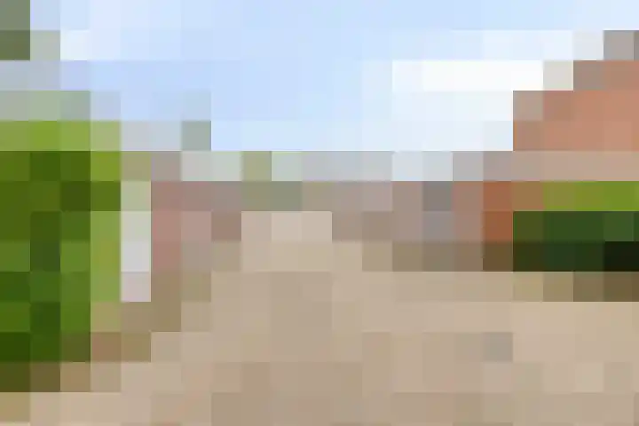 Frittemaleane 88 Sneek thumbnail 41