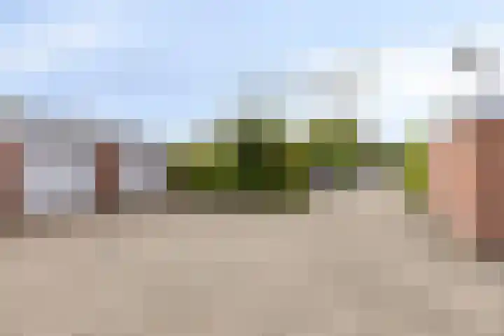 Frittemaleane 88 Sneek thumbnail 42
