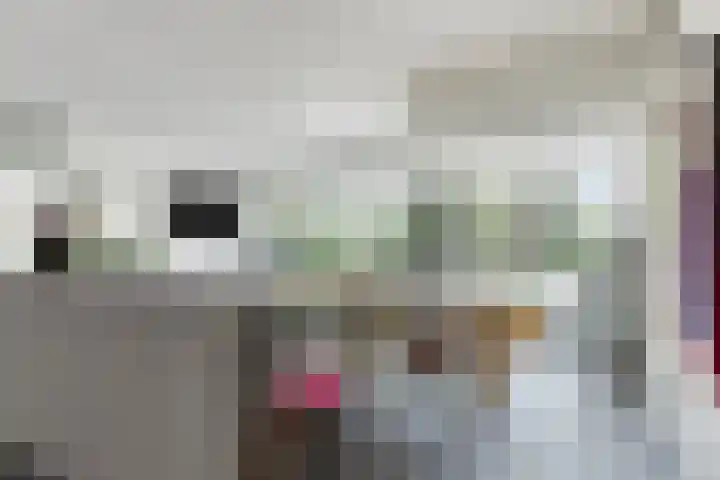 Frittemaleane 88 Sneek thumbnail 44