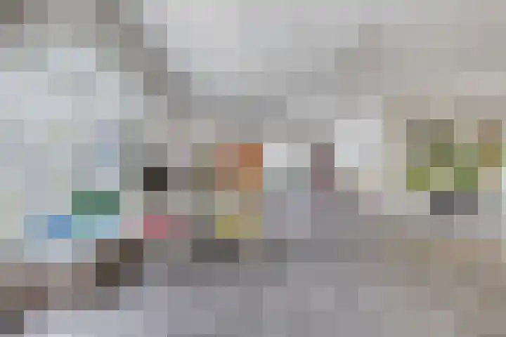 Frittemaleane 88 Sneek thumbnail 45