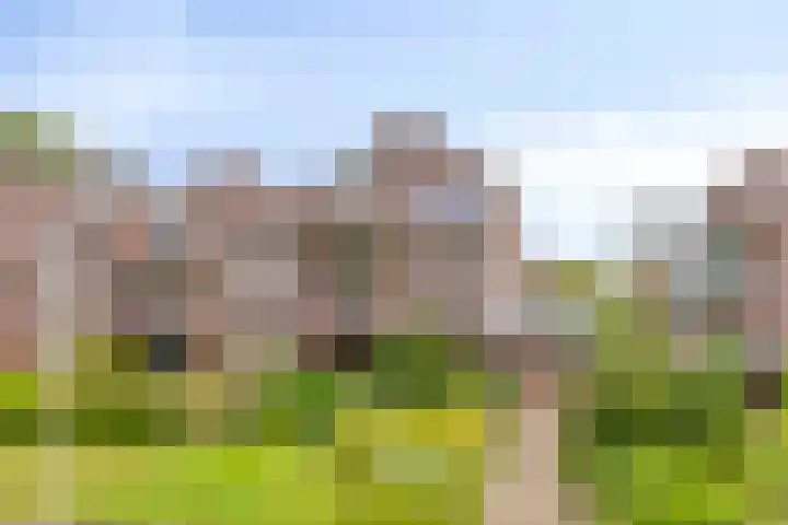 Frittemaleane 88 Sneek thumbnail 46
