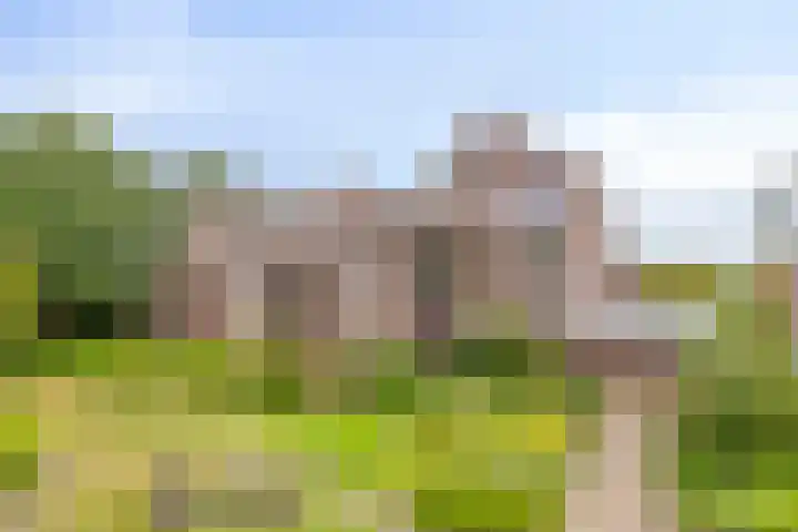 Frittemaleane 88 Sneek thumbnail 47