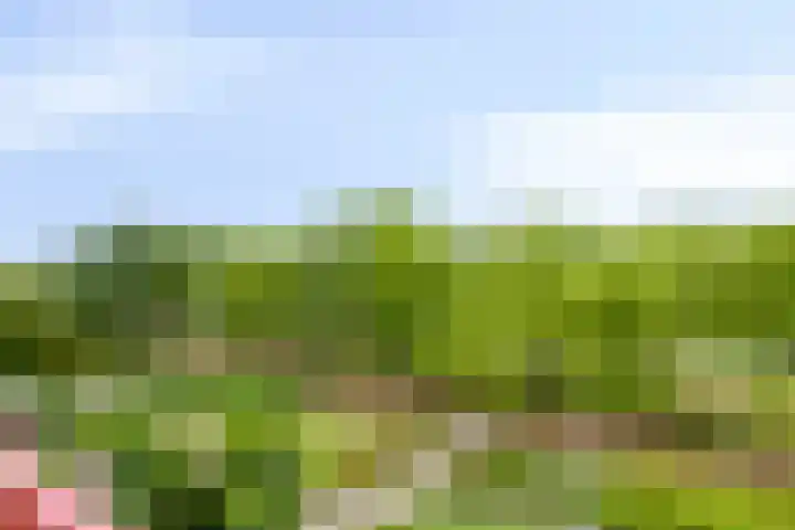 Frittemaleane 88 Sneek thumbnail 5