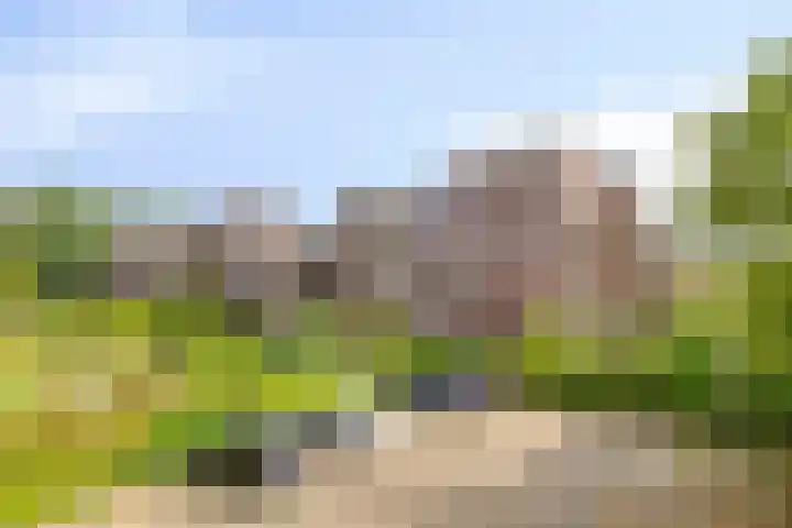 Frittemaleane 88 Sneek thumbnail 6