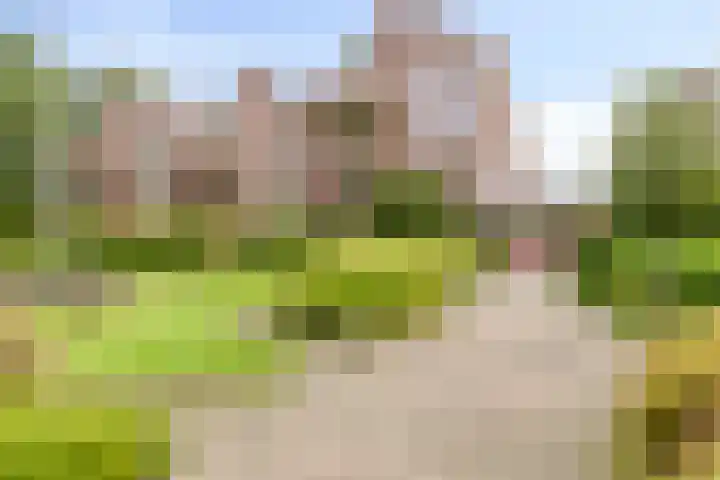 Frittemaleane 88 Sneek thumbnail 7