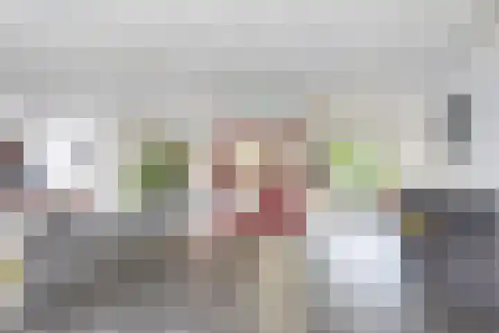 Frittemaleane 88 Sneek thumbnail 9