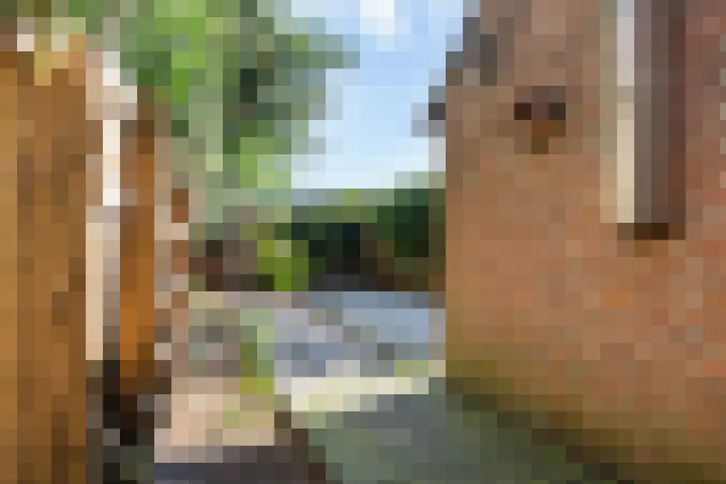 Frittemastate 5 Leeuwarden thumbnail 18