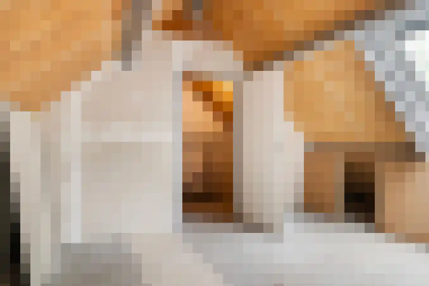 Frittemastate 5 Leeuwarden thumbnail 37