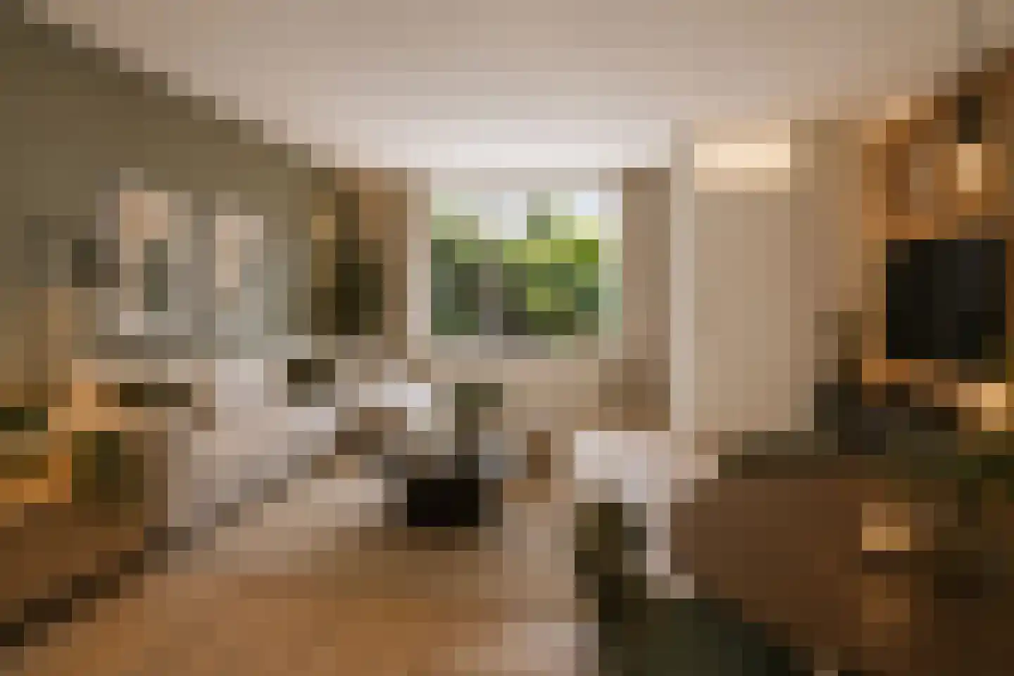 Frittemastate 5 Leeuwarden thumbnail 6