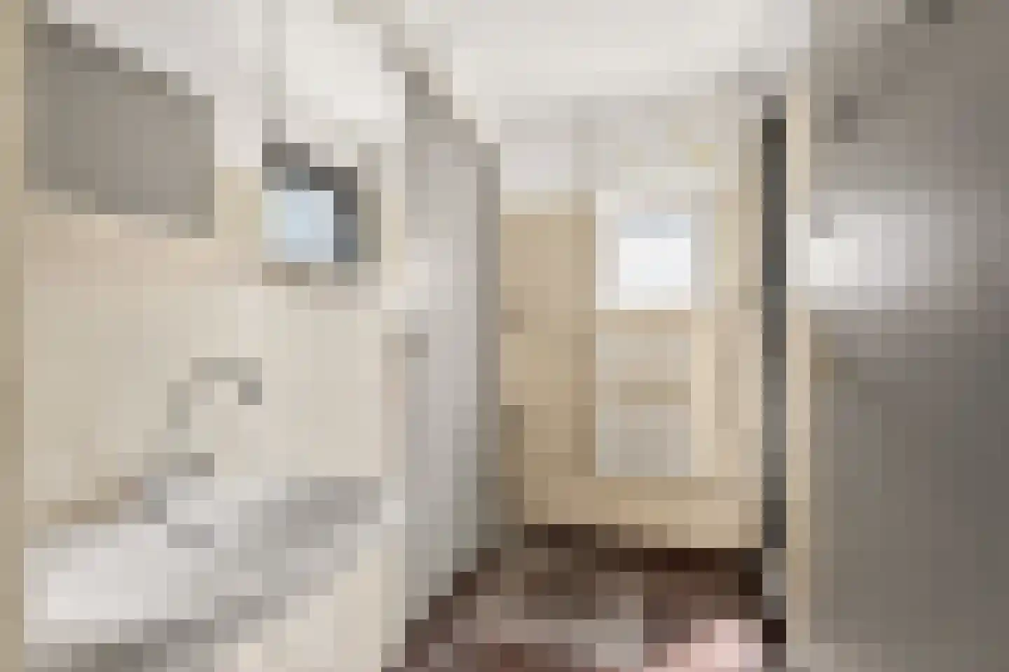 Fritz Conijnstraat 10 H Amsterdam thumbnail 4
