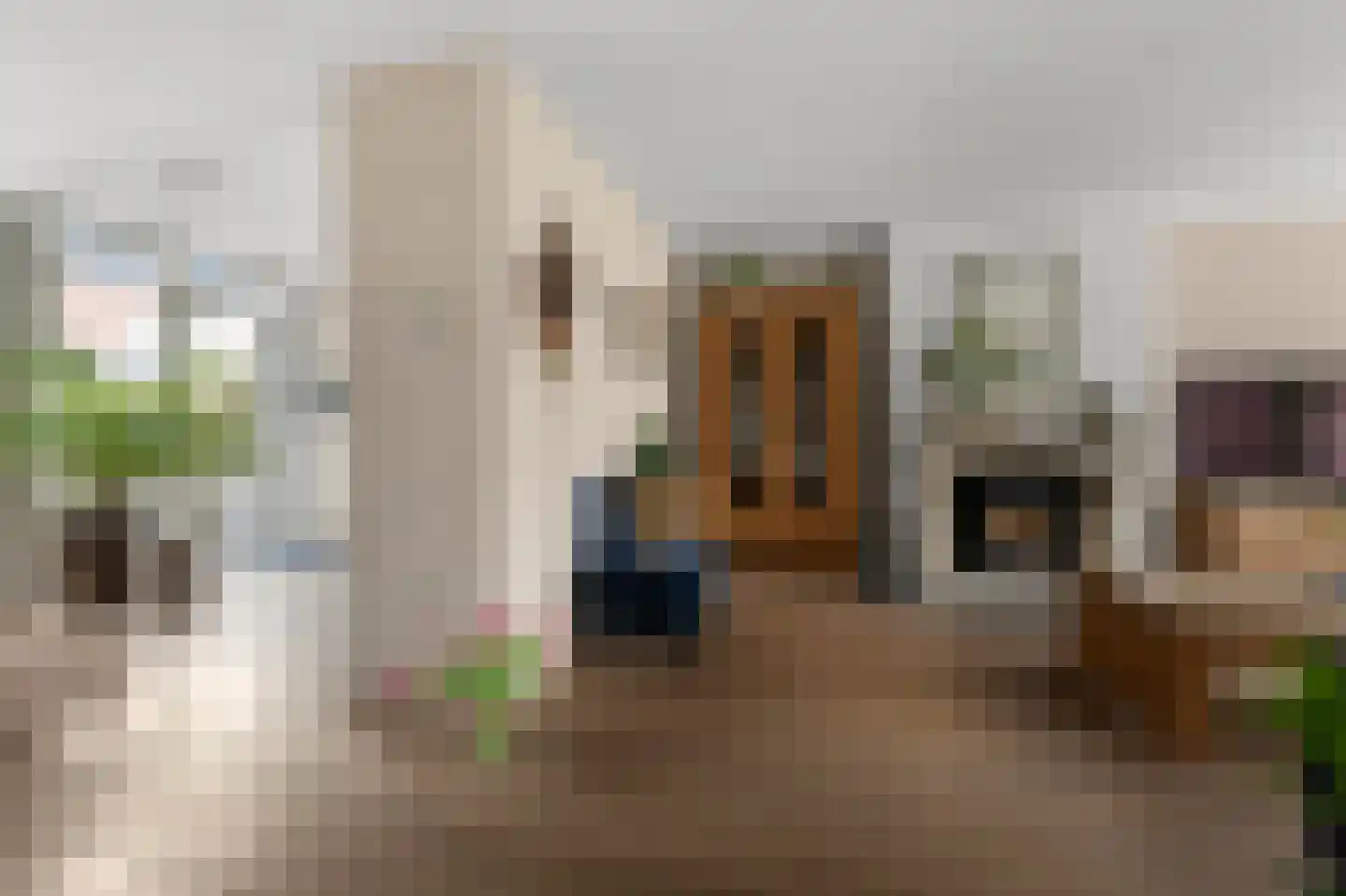 Fritz Conijnstraat 5 Heemskerk thumbnail 11