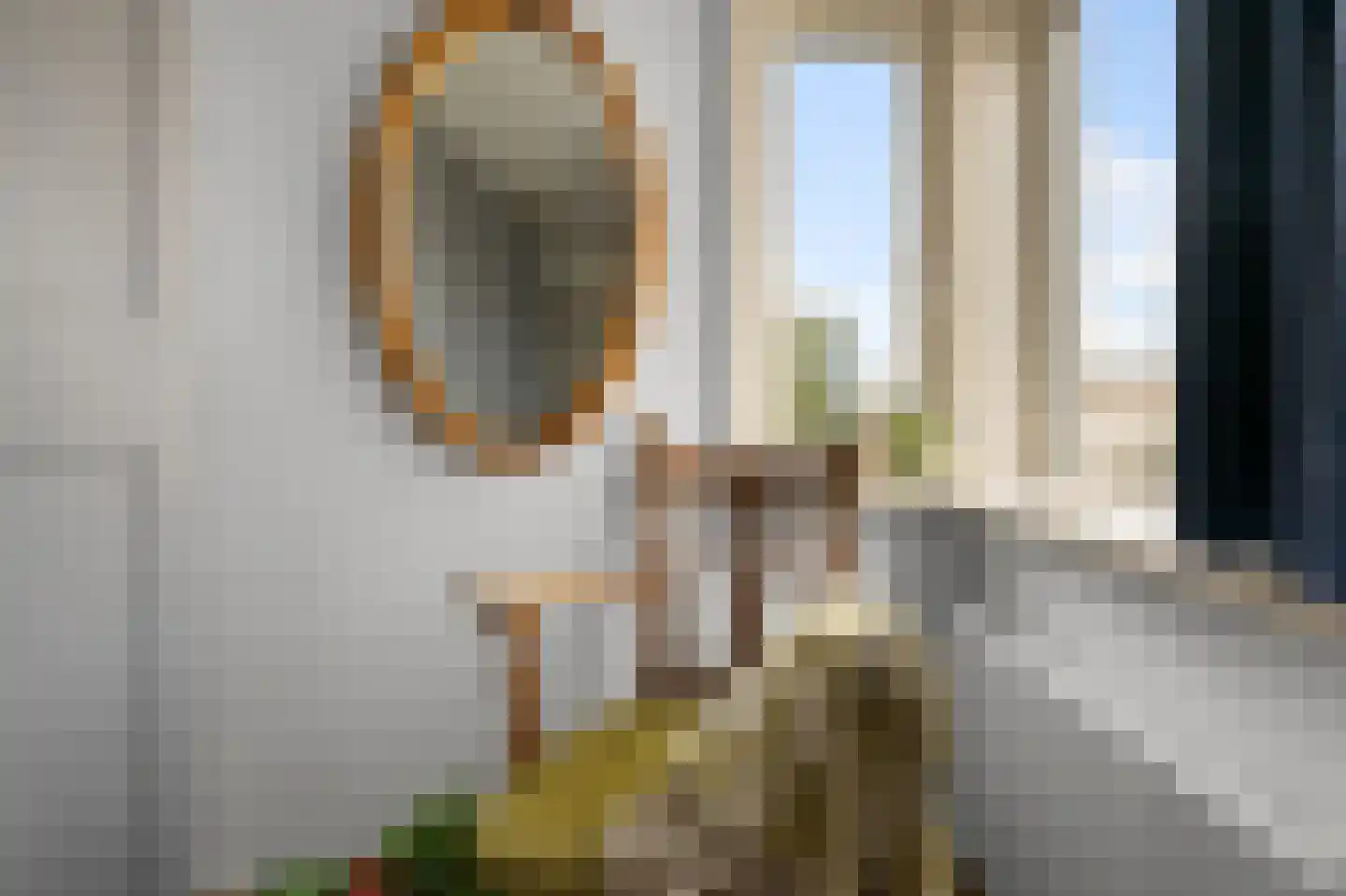 Fritz Conijnstraat 5 Heemskerk thumbnail 40