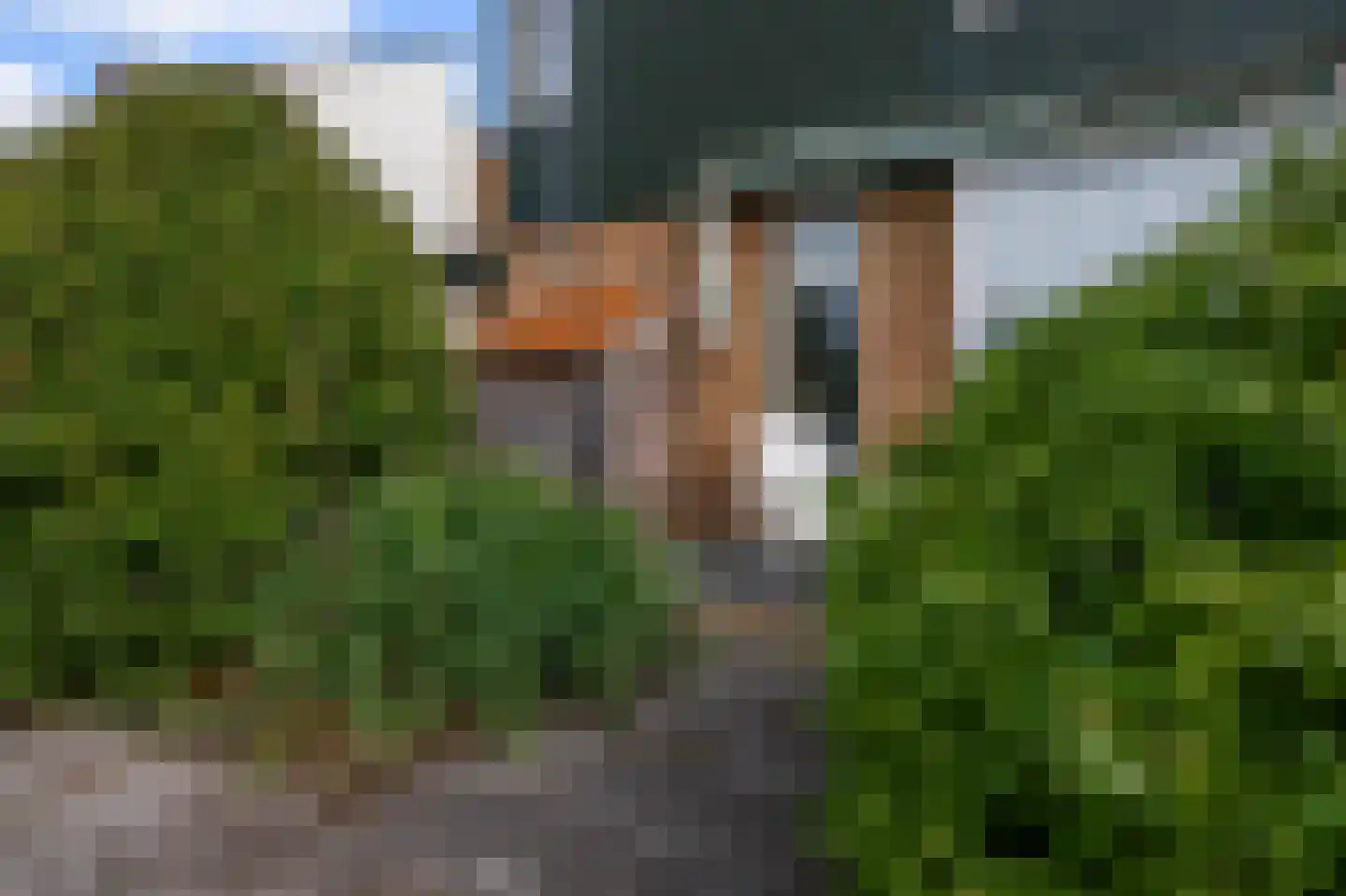 Fritz Conijnstraat 5 Heemskerk thumbnail 58