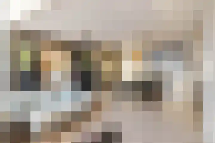 Fritz Kreislerhof 4 Utrecht thumbnail 10