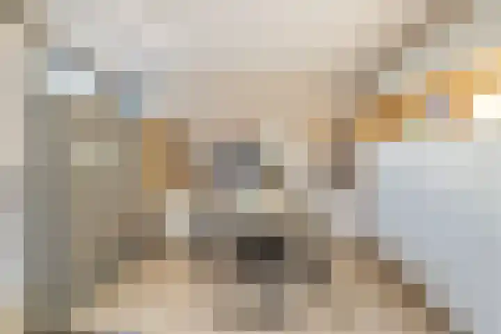 Fritz Kreislerhof 4 Utrecht thumbnail 14