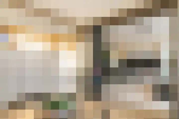 Fritz Kreislerhof 4 Utrecht thumbnail 16