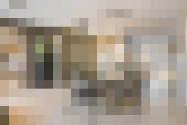 Fritz Kreislerhof 4 Utrecht thumbnail 19