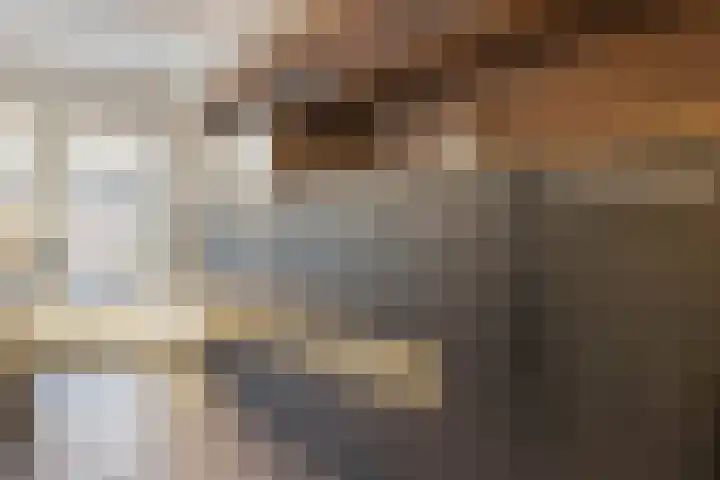 Fritz Kreislerhof 4 Utrecht thumbnail 21
