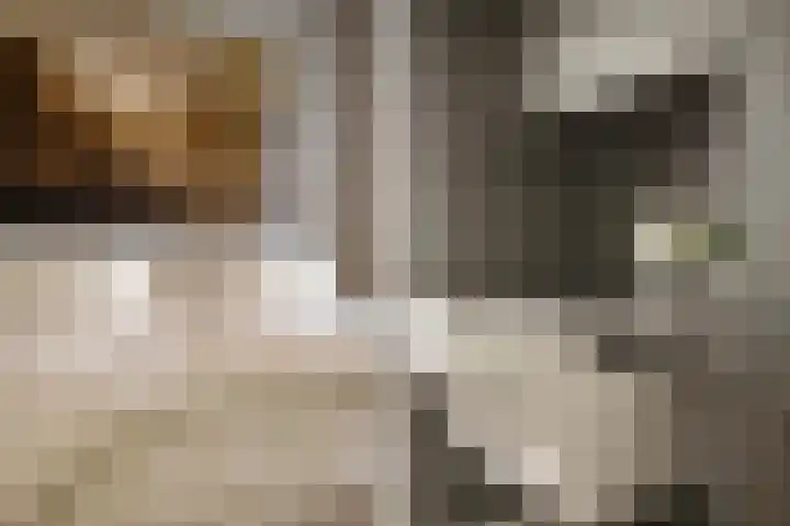 Fritz Kreislerhof 4 Utrecht thumbnail 31
