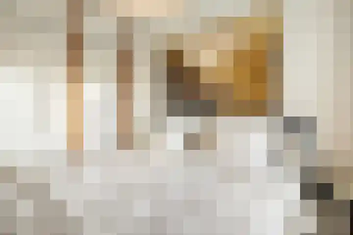 Fritz Kreislerhof 4 Utrecht thumbnail 35