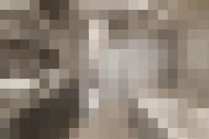 Fritz Kreislerhof 4 Utrecht thumbnail 36