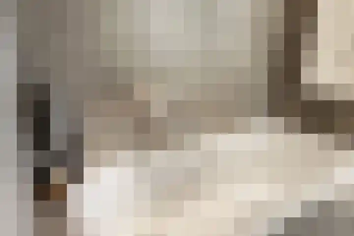 Fritz Kreislerhof 4 Utrecht thumbnail 37
