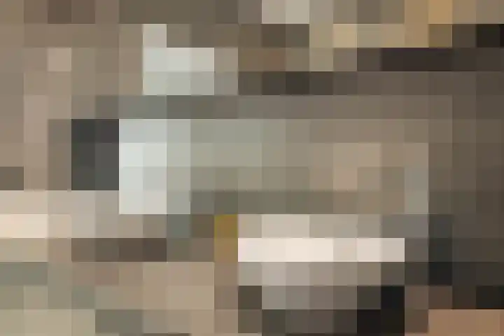 Fritz Kreislerhof 4 Utrecht thumbnail 39