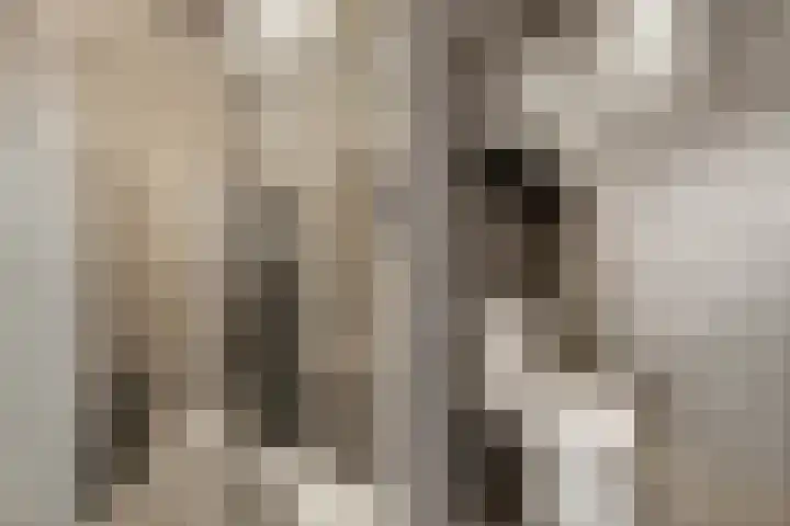 Fritz Kreislerhof 4 Utrecht thumbnail 41