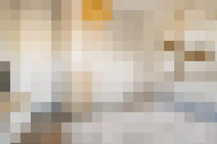 Fritz Kreislerhof 4 Utrecht thumbnail 42