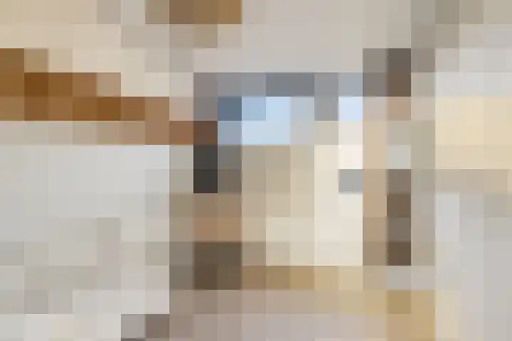 Fritz Kreislerhof 4 Utrecht thumbnail 46