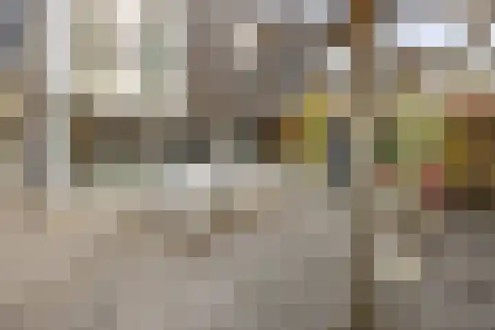 Fritz Kreislerhof 4 Utrecht thumbnail 49