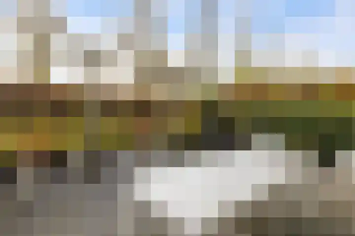 Fritz Kreislerhof 4 Utrecht thumbnail 50