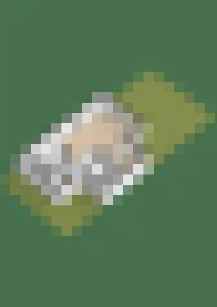 Fritz Kreislerhof 4 Utrecht thumbnail 52