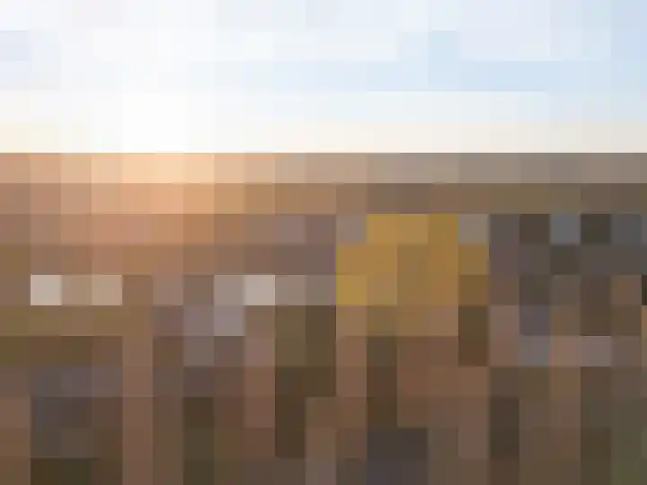Fritz Kreislerhof 4 Utrecht thumbnail 62