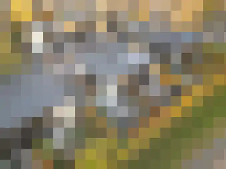 Fritz Kreislerhof 4 Utrecht thumbnail 65