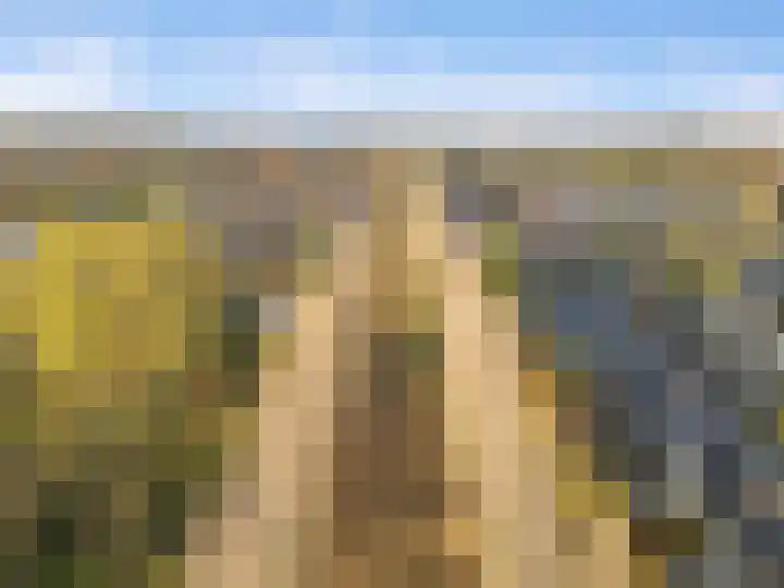 Fritz Kreislerhof 4 Utrecht thumbnail 69