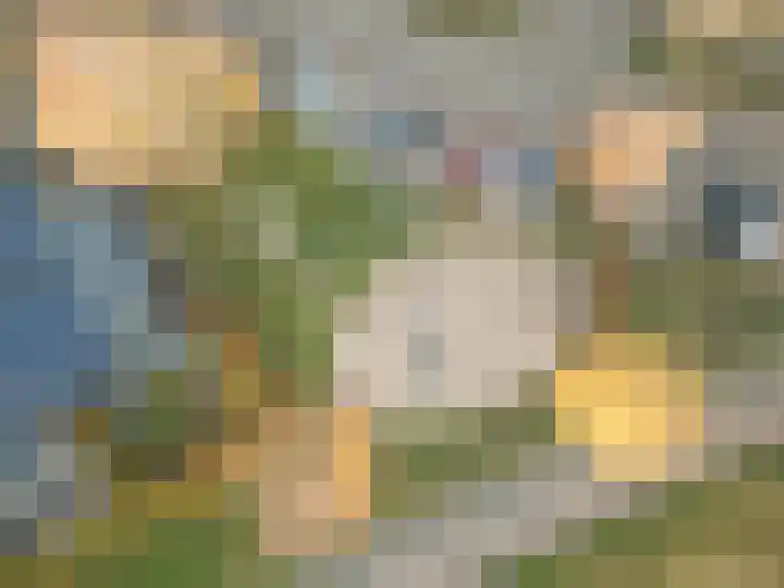 Fritz Kreislerhof 4 Utrecht thumbnail 70