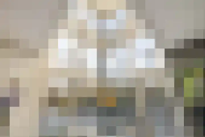 Fritz Kreislerhof 4 Utrecht thumbnail 8