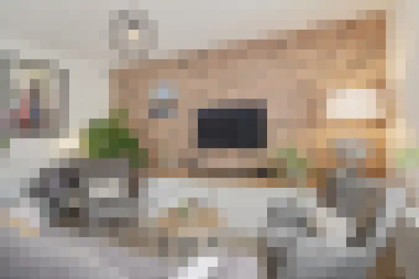 Fritz Langstrook 21 Zoetermeer thumbnail 17