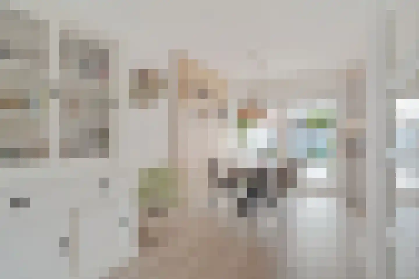 Fritz Langstrook 21 Zoetermeer thumbnail 21