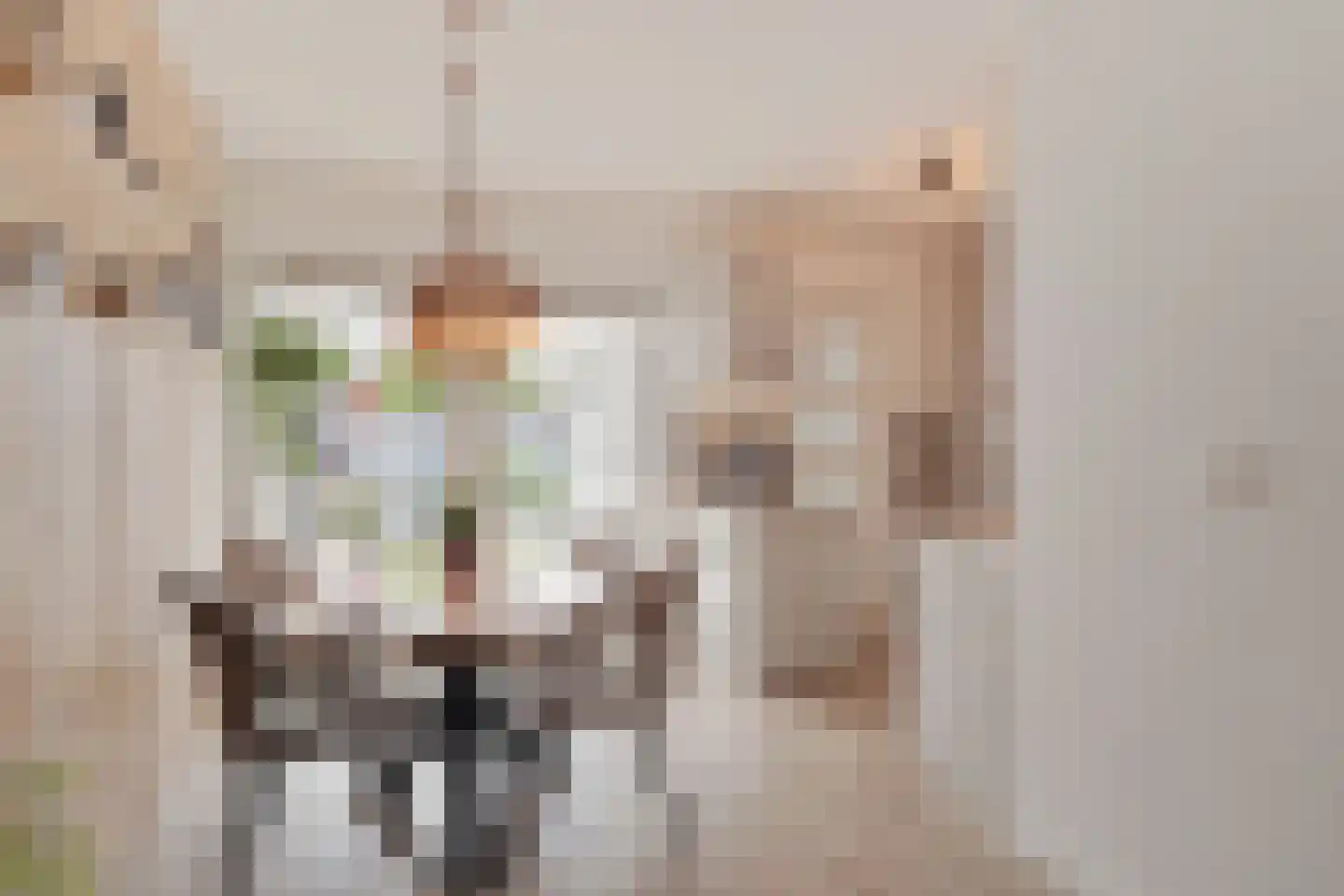 Fritz Langstrook 21 Zoetermeer thumbnail 22