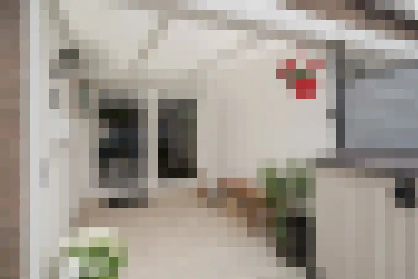 Fritz Langstrook 21 Zoetermeer thumbnail 32