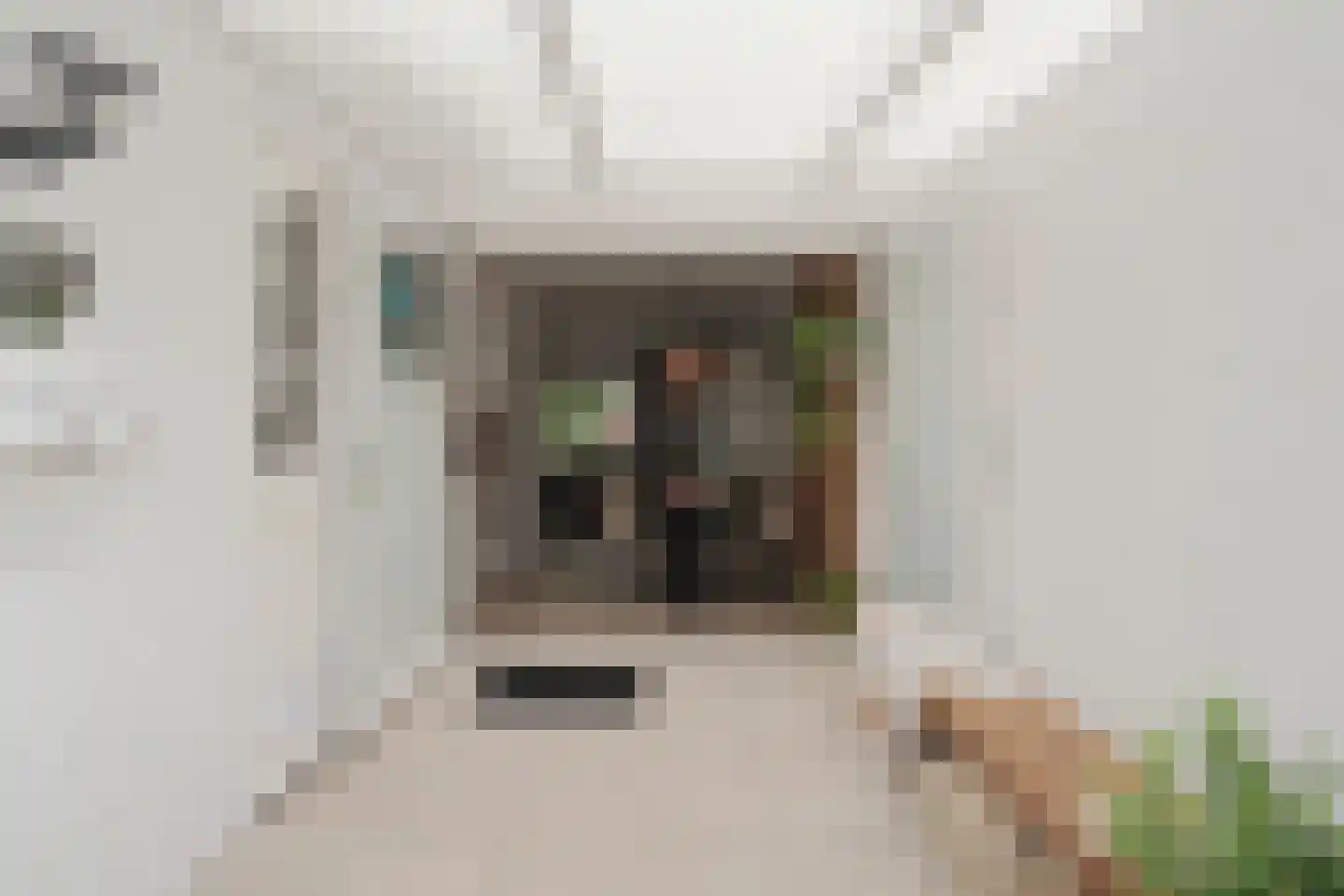 Fritz Langstrook 21 Zoetermeer thumbnail 33